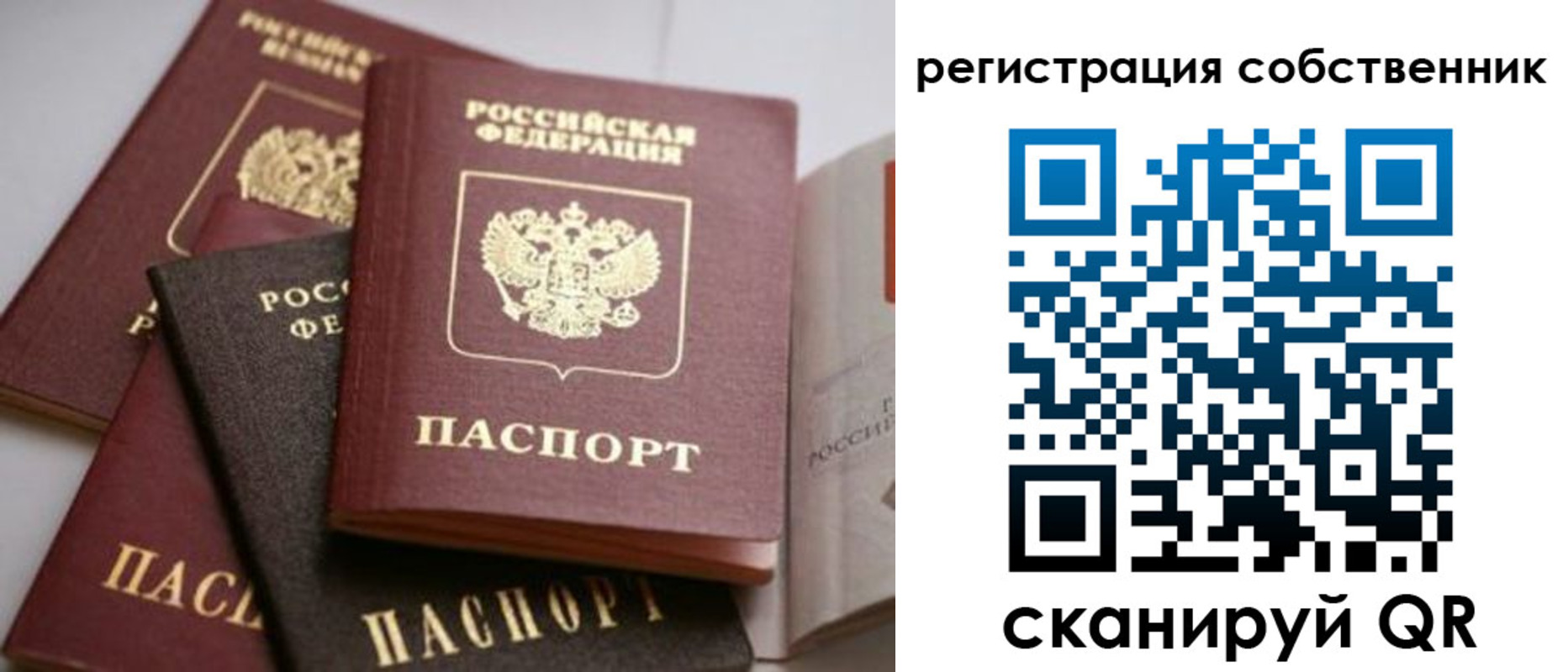 временная регистрация поиск в Волосово